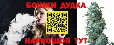 гашик Берёзовский