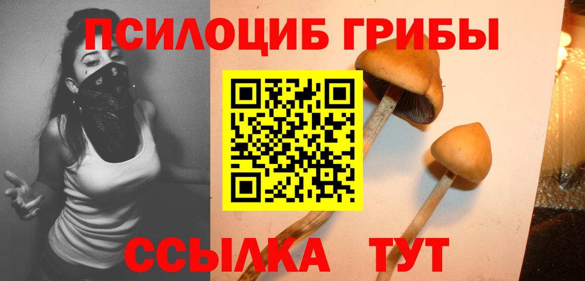 Галлюциногенные грибы Psilocybe  Вход с VPN  Каменск-Уральский 